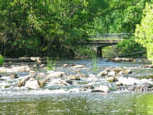 Virserumåens udløb i Flaten sø